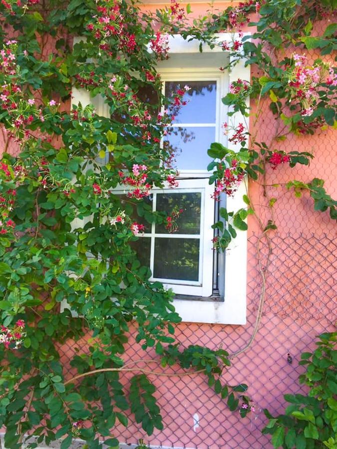 Lei Mi Er Hua Yuan Min Su Apartment Pinghe Ngoại thất bức ảnh